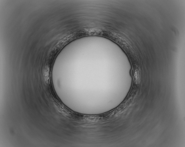 X0000112960963200909171254