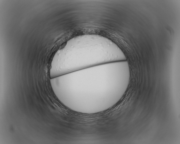 X0000112960964200909171254