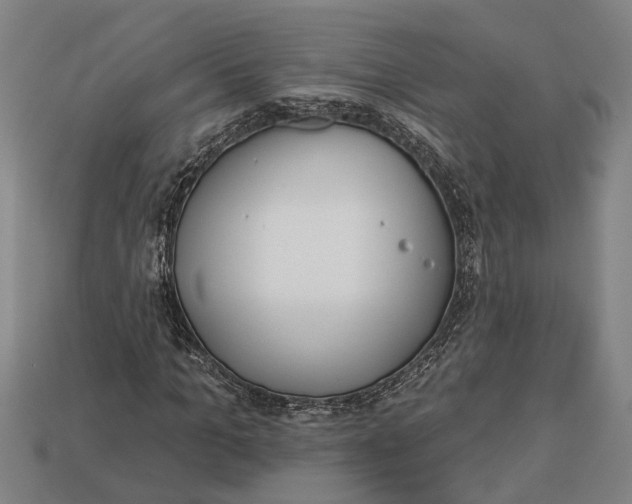 X0000112960965200909171254