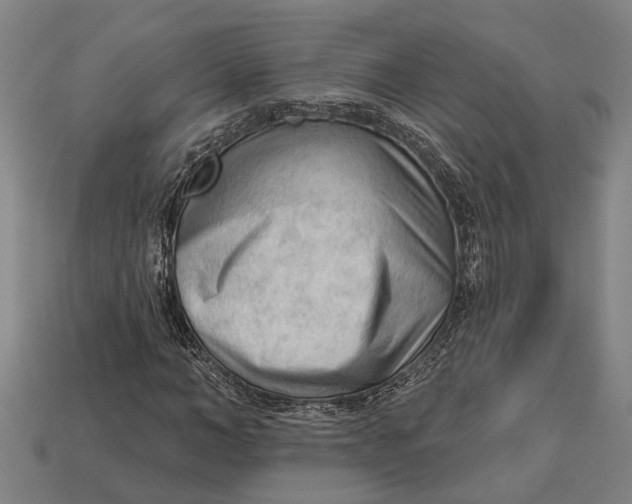 X0000112960966200909171254