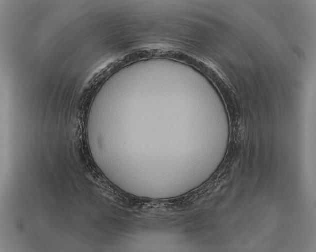 X0000112960967200909171254