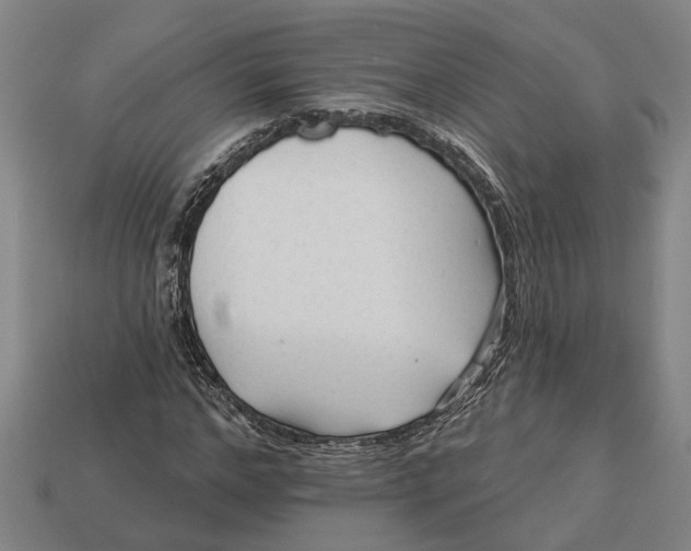 X0000112960968200909171254