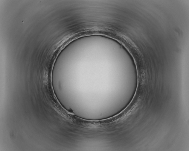 X0000112960969200909171254