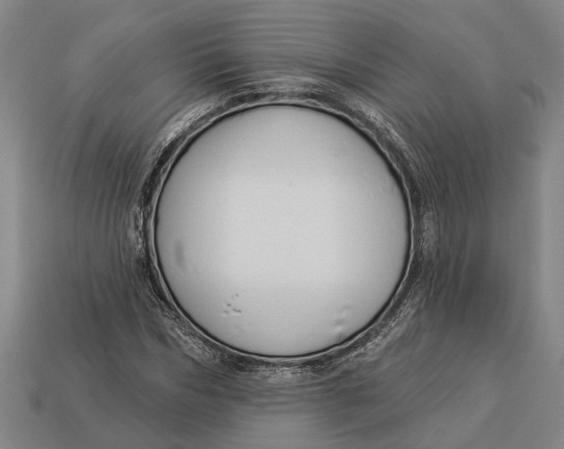 X0000112960970200909171254