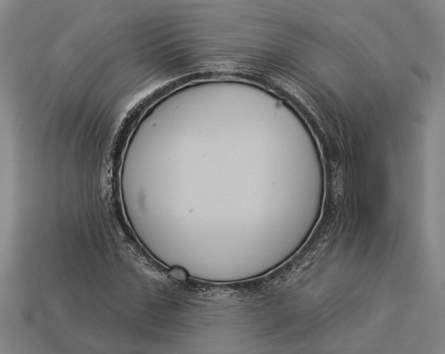 X0000112960971200909171254