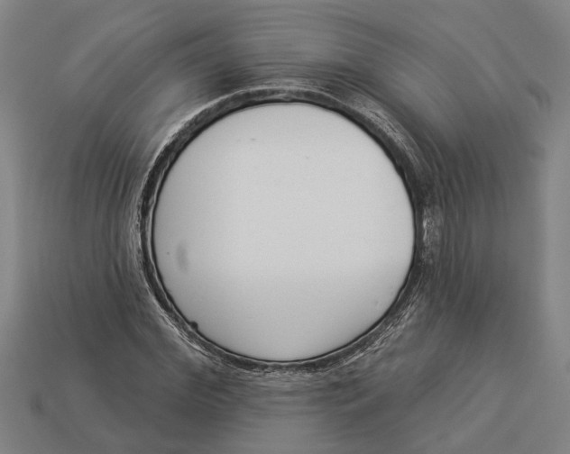 X0000112960972200909171254