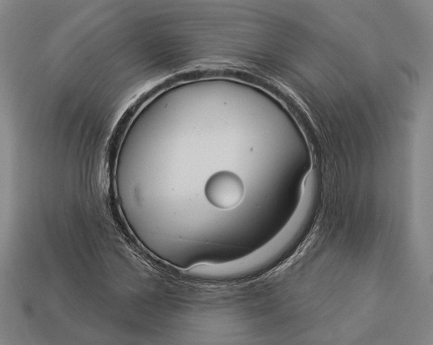 X0000112960973200909171254