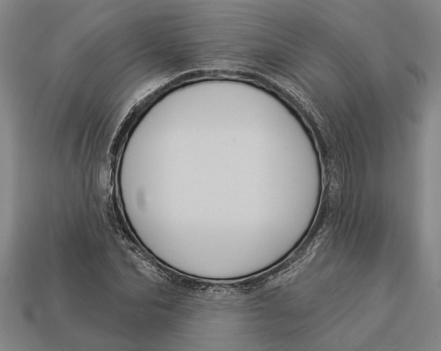 X0000112960974200909171254