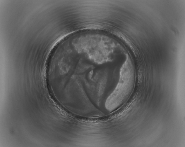 X0000112960975200909171254