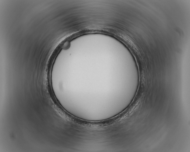 X0000112960976200909171254