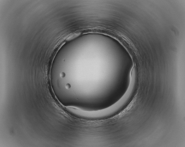 X0000112960977200909171254