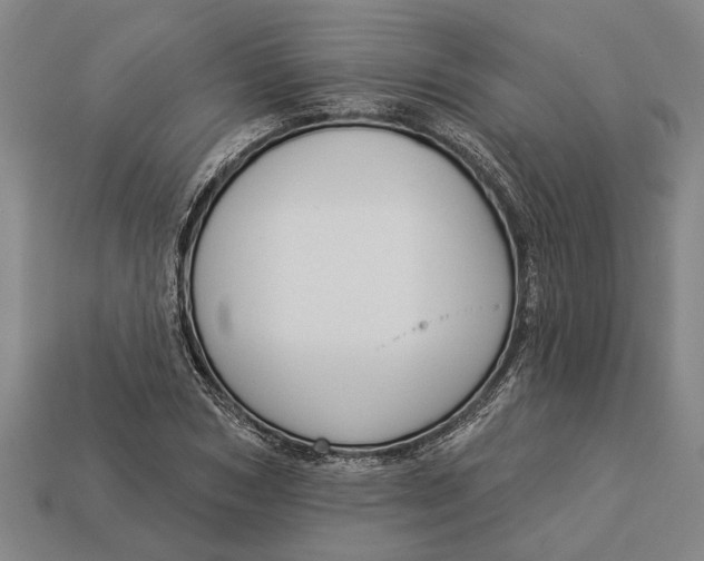 X0000112960978200909171254