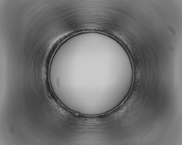 X0000112960979200909171254