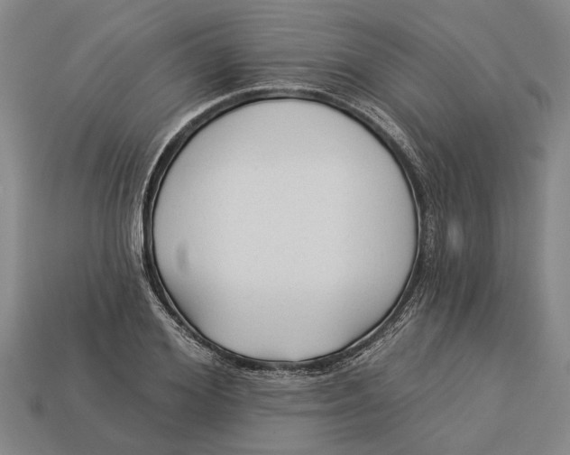 X0000112960980200909171254