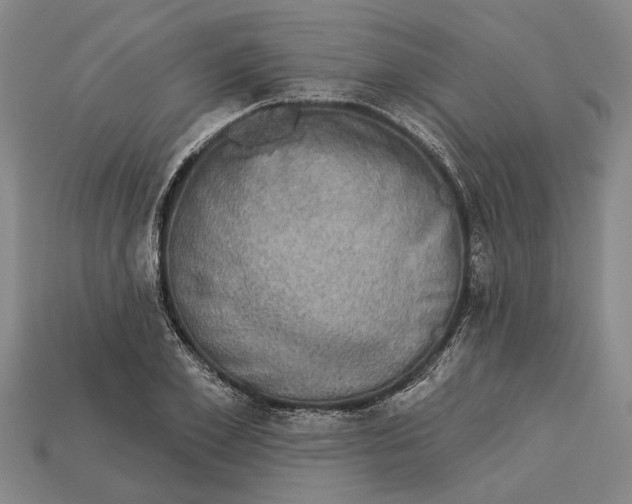 X0000112960981200909171254