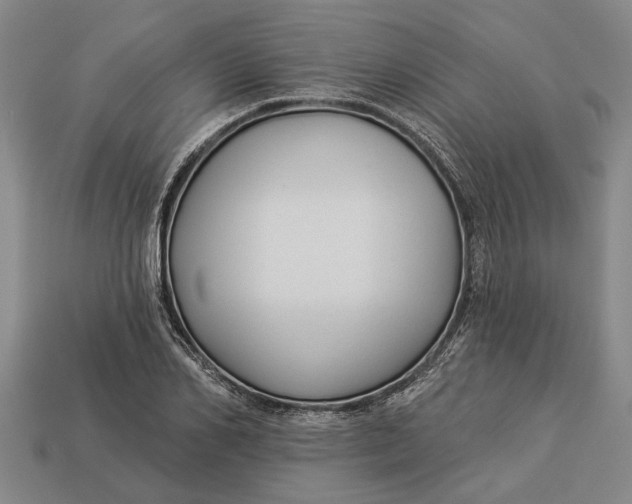 X0000112960982200909171254