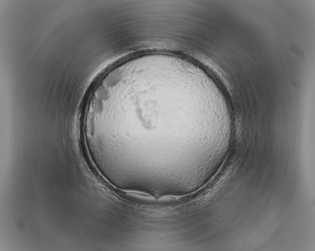 X0000112960983200909171254