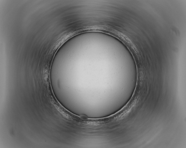 X0000112960985200909171254