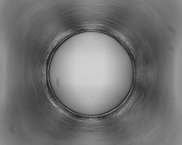 X0000112960986200909171254