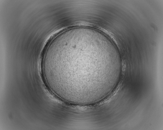 X0000112960987200909171254