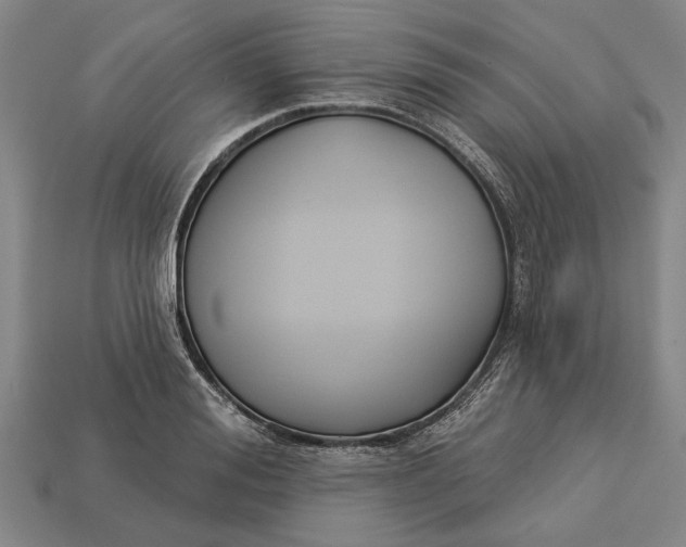 X0000112960988200909171254