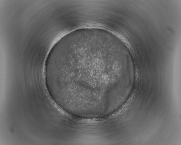 X0000112960990200909171254