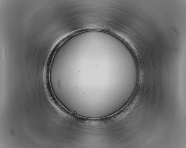 X0000112960991200909171254