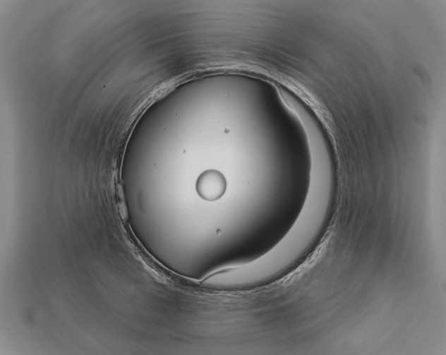 X0000112960993200909171254