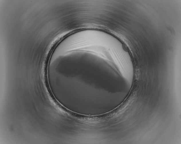 X0000112960995200909171254