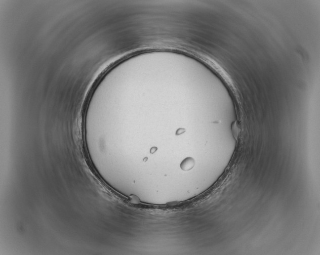 X0000112960996200909171254