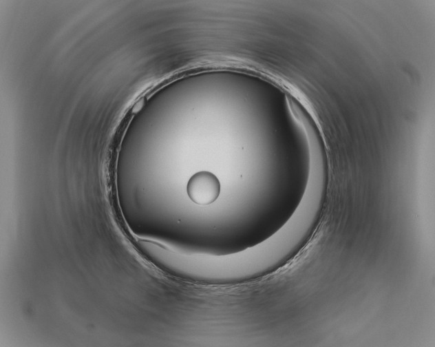 X0000112960997200909171254