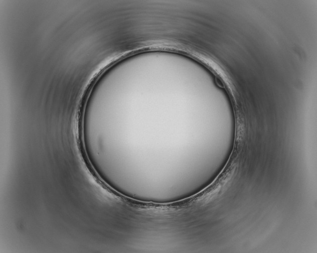 X0000112960999200909171254