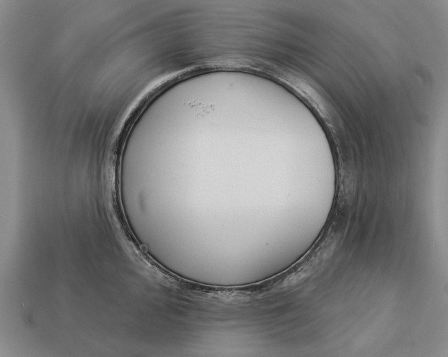 X0000112961000200909171254