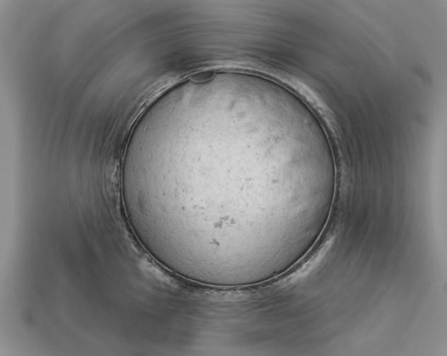 X0000112961001200909171254