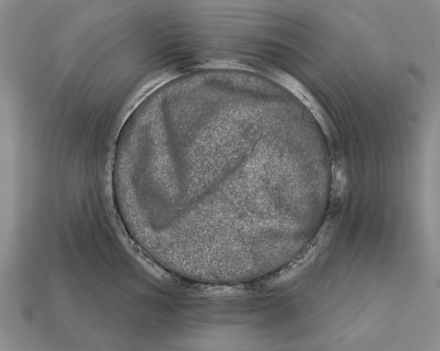 X0000112961002200909171254