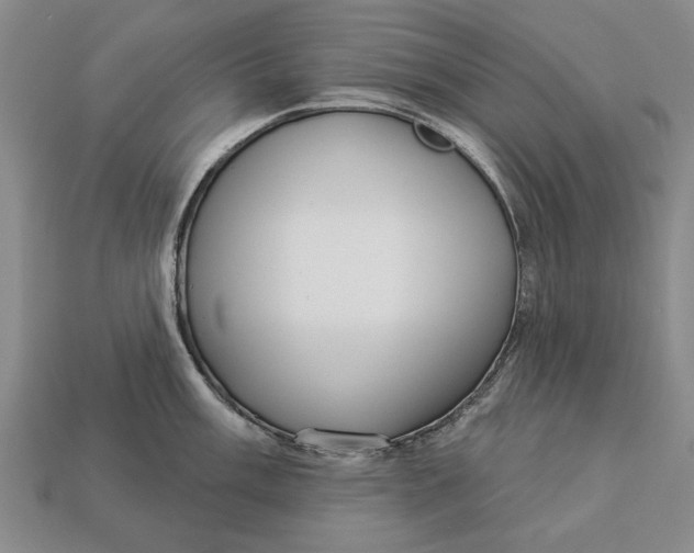 X0000112961003200909171254