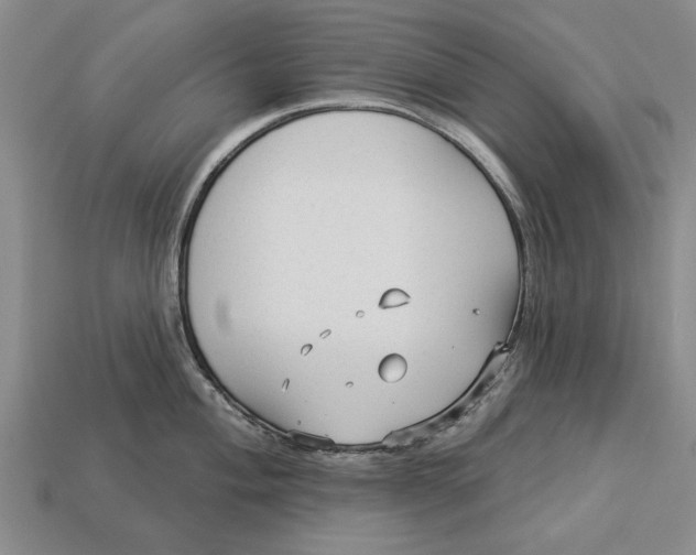 X0000112961004200909171254