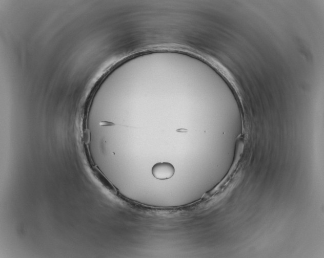 X0000112961005200909171254