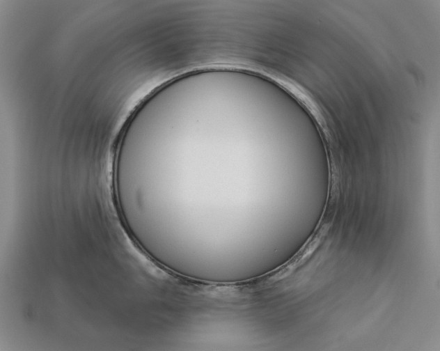 X0000112961006200909171254