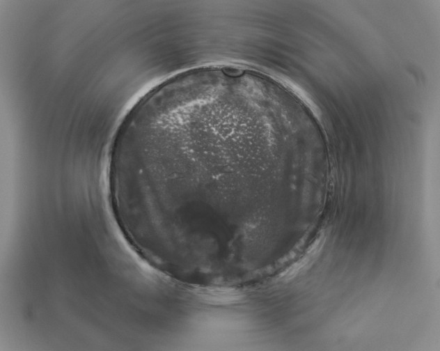 X0000112961007200909171254