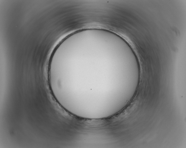 X0000112961008200909171254