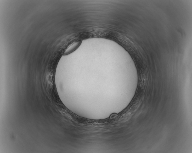 X0000112961010200909171253