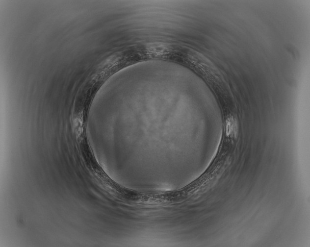 X0000112961011200909171253