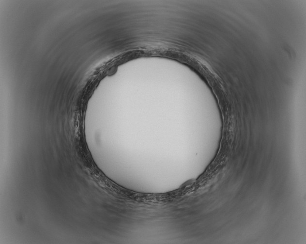 X0000112961016200909171253