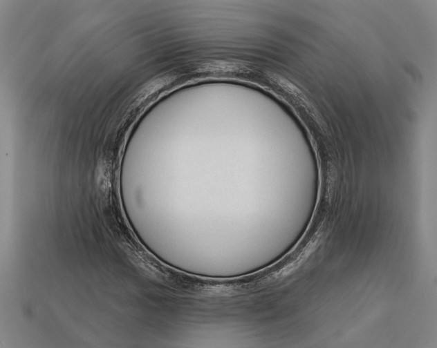 X0000112961017200909171253