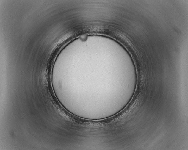 X0000112961018200909171253