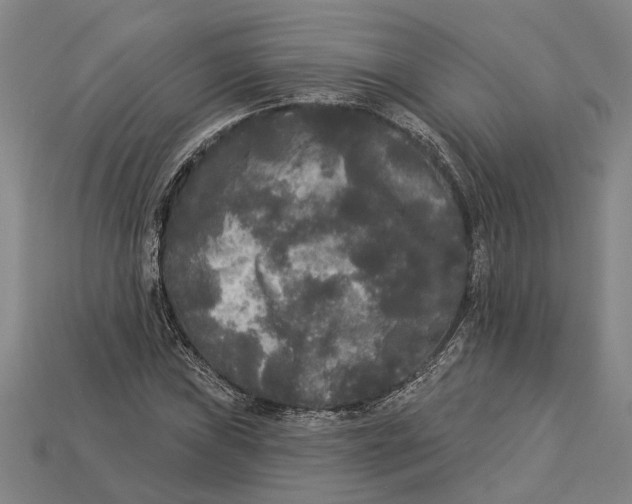 X0000112961019200909171253