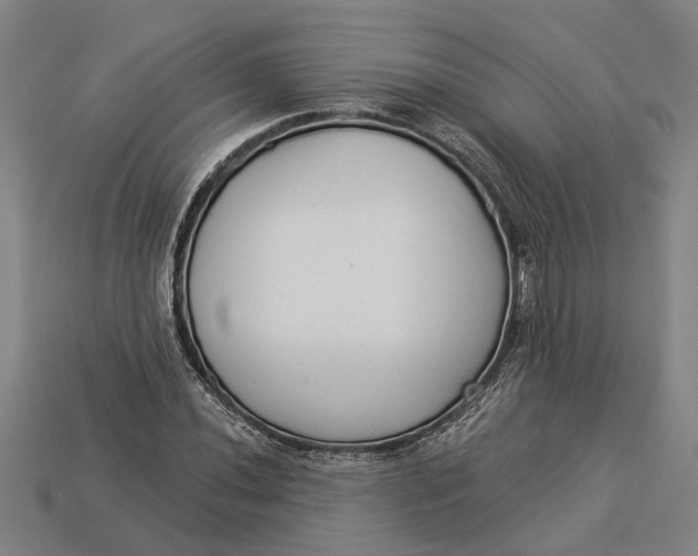 X0000112961020200909171253