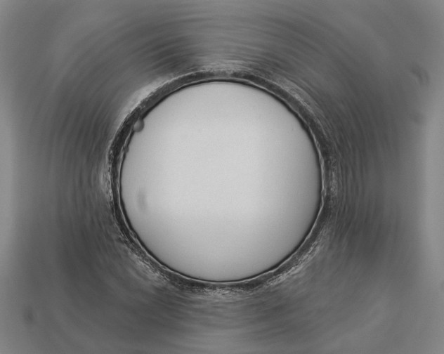 X0000112961022200909171253