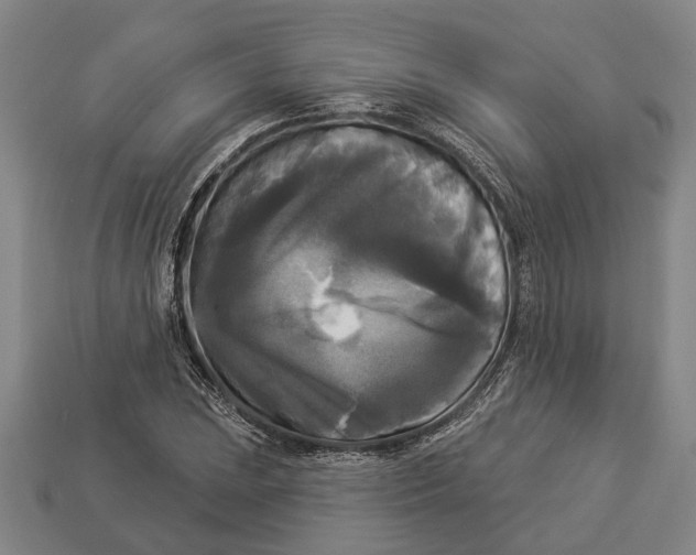 X0000112961023200909171253